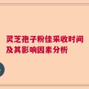 灵芝孢子粉佳采收时间及其影响因素分析