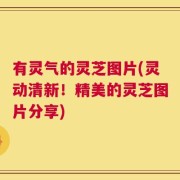 有灵气的灵芝图片(灵动清新！精美的灵芝图片分享)