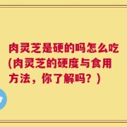肉灵芝是硬的吗怎么吃(肉灵芝的硬度与食用方法，你了解吗？)