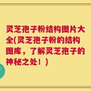 灵芝孢子粉结构图片大全(灵芝孢子粉的结构图库，了解灵芝孢子的神秘之处！)