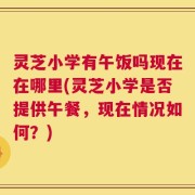 灵芝小学有午饭吗现在在哪里(灵芝小学是否提供午餐，现在情况如何？)
