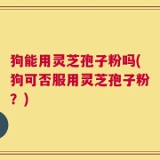 狗能用灵芝孢子粉吗(狗可否服用灵芝孢子粉？)