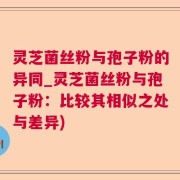 灵芝菌丝粉与孢子粉的异同_灵芝菌丝粉与孢子粉：比较其相似之处与差异)