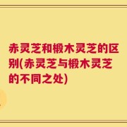 赤灵芝和椴木灵芝的区别(赤灵芝与椴木灵芝的不同之处)