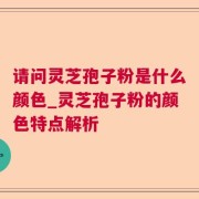 请问灵芝孢子粉是什么颜色_灵芝孢子粉的颜色特点解析