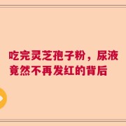 吃完灵芝孢子粉，尿液竟然不再发红的背后