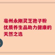 亳州永刚灵芝孢子粉 优质养生品助力健康的天然之选