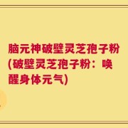 脑元神破壁灵芝孢子粉(破壁灵芝孢子粉：唤醒身体元气)