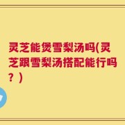 灵芝能煲雪梨汤吗(灵芝跟雪梨汤搭配能行吗？)