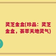 灵芝金盒(珍品：灵芝金盒，荟萃天地灵气)