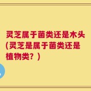 灵芝属于菌类还是木头(灵芝是属于菌类还是植物类？)