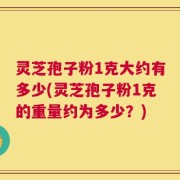 灵芝孢子粉1克大约有多少(灵芝孢子粉1克的重量约为多少？)