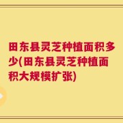 田东县灵芝种植面积多少(田东县灵芝种植面积大规模扩张)