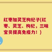 红枣加灵芝枸杞子(红枣、灵芝、枸杞，三味宝贝提高免疫力！)