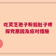 吃灵芝孢子粉后肚子疼 探究原因及应对措施