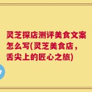 灵芝探店测评美食文案怎么写(灵芝美食店，舌尖上的匠心之旅)