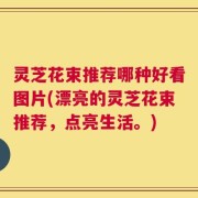 灵芝花束推荐哪种好看图片(漂亮的灵芝花束推荐，点亮生活。)