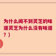 为什么闻不到灵芝的味道灵芝为什么没有味道？)