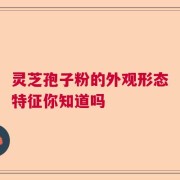 灵芝孢子粉的外观形态特征你知道吗