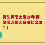 野生灵芝会出血吗(野生灵芝是否会引起出血？)