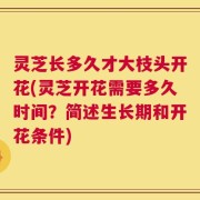灵芝长多久才大枝头开花(灵芝开花需要多久时间？简述生长期和开花条件)
