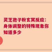 灵芝孢子粉玄冥反应：身体调整的特殊现象你知道多少