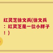 红灵芝徐文兵(徐文兵：红灵芝是一位小胖子！)