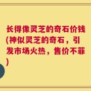 长得像灵芝的奇石价钱(神似灵芝的奇石，引发市场火热，售价不菲)