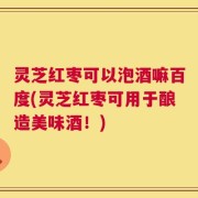 灵芝红枣可以泡酒嘛百度(灵芝红枣可用于酿造美味酒！)
