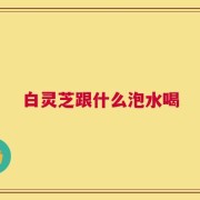 白灵芝跟什么泡水喝