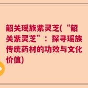 韶关瑶族紫灵芝(“韶关紫灵芝”：探寻瑶族传统药材的功效与文化价值)