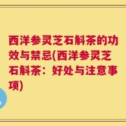 西洋参灵芝石斛茶的功效与禁忌(西洋参灵芝石斛茶：好处与注意事项)