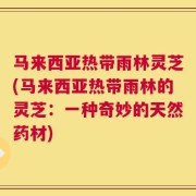 马来西亚热带雨林灵芝(马来西亚热带雨林的灵芝：一种奇妙的天然药材)