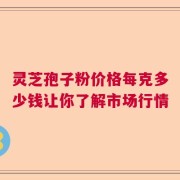 灵芝孢子粉价格每克多少钱让你了解市场行情