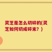 灵芝是怎么切碎的(灵芝如何切成碎末？)