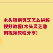 木头雕刻灵芝怎么讲解视频教程(木头灵芝雕刻视频教程分享)