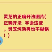 灵芝的正确开法图片(正确开法  学会这些，灵芝炖汤再也不糊锅！)