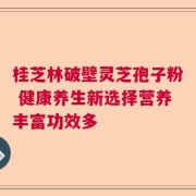桂芝林破壁灵芝孢子粉 健康养生新选择营养丰富功效多
