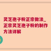 灵芝孢子粉正宗做法_正宗灵芝孢子粉的制作方法详解