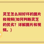 灵芝怎么辩好坏的图片和视频(如何判断灵芝的优劣？详解图片和视频。)