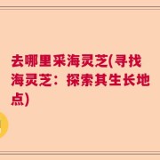 去哪里采海灵芝(寻找海灵芝：探索其生长地点)
