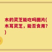 木的灵芝能吃吗图片(木耳灵芝，能否食用？)