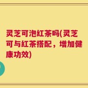 灵芝可泡红茶吗(灵芝可与红茶搭配，增加健康功效)