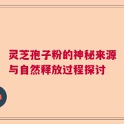 灵芝孢子粉的神秘来源与自然释放过程探讨