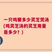 一只鸡要多少灵芝煲汤(鸡灵芝汤的灵芝用量是多少？)