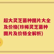 超大灵芝菌种图片大全及价格(珍稀灵芝菌种图片及价格全解析)