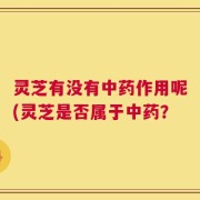 灵芝有没有中药作用呢(灵芝是否属于中药？