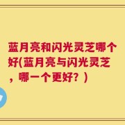 蓝月亮和闪光灵芝哪个好(蓝月亮与闪光灵芝，哪一个更好？)