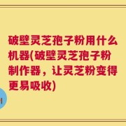 破壁灵芝孢子粉用什么机器(破壁灵芝孢子粉制作器，让灵芝粉变得更易吸收)