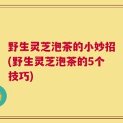 野生灵芝泡茶的小妙招(野生灵芝泡茶的5个技巧)